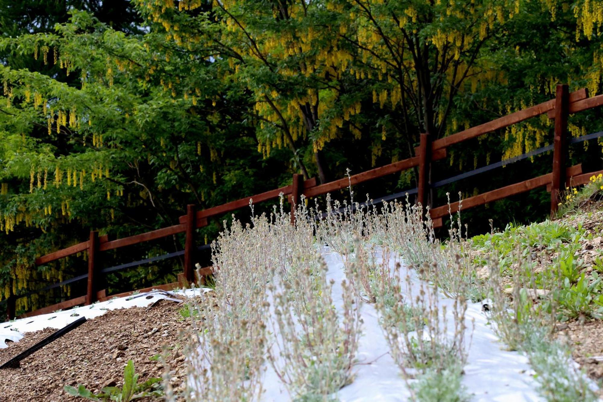 Agriturismo A Nostro Mizoun Ostana Екстериор снимка